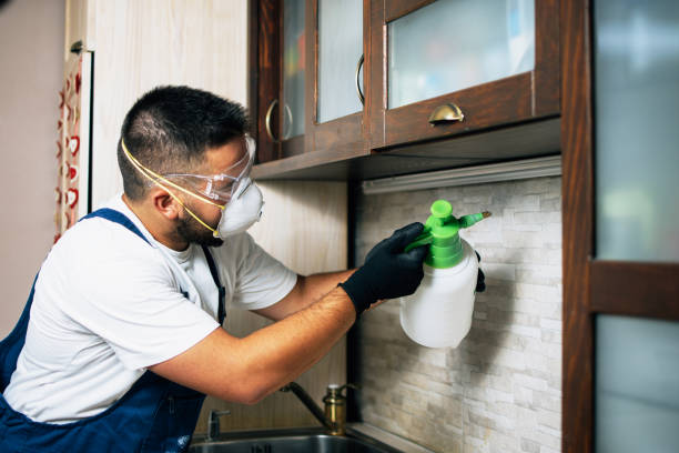 Best Commercial Pest Control Services  in Evansburg, PA