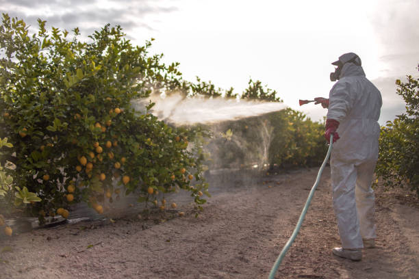 Best Local Pest Control Services  in Evansburg, PA